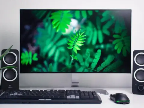 Jaki monitor dla grafika - wybierz idealny model dla swojej pracy