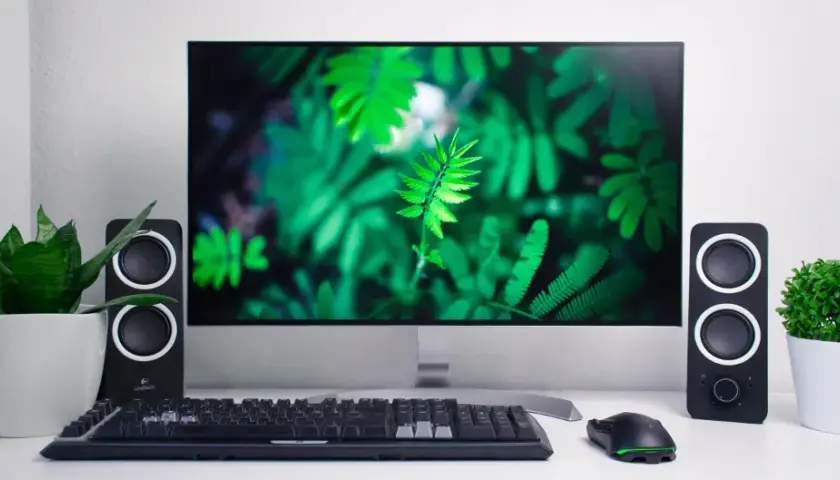 Jaki monitor dla grafika - wybierz idealny model dla swojej pracy